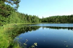 Keskinen1