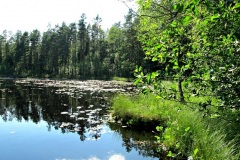 Keskinen2